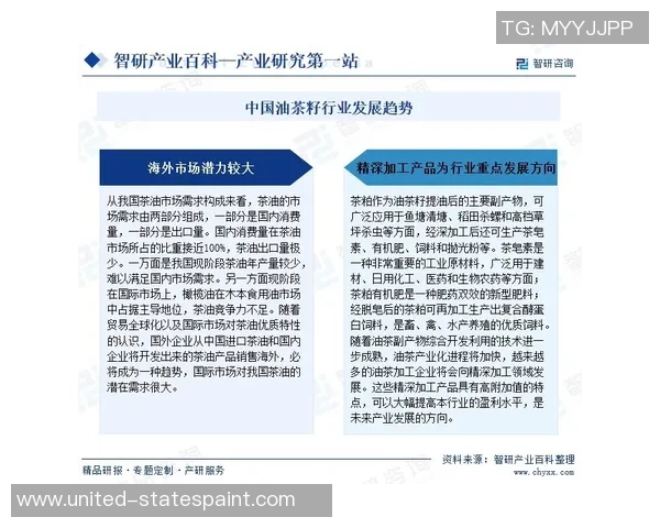 深入解读yoki球星卡足球收藏市场发展与未来价值分析